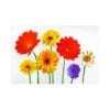 Plastové prostírání TORO 28x43cm květiny Varianta: GERBERA - Image 2