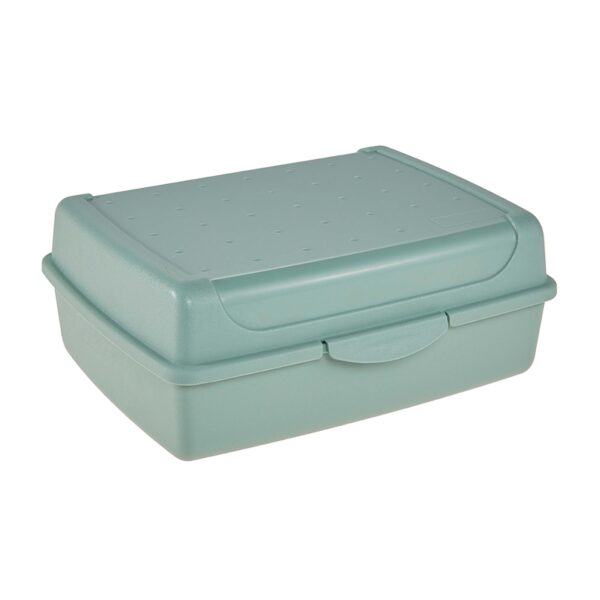 Keeeper Plastový svačinový box 30x20x8