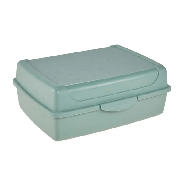 Keeeper Plastový svačinový box 30x20x8