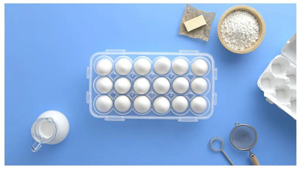 LOCKNLOCK Dóza na potraviny LOCK 18 vajec - Obrázek 2