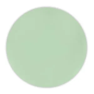 PROCOS Plastový talíř DECORATA 20cm sv.zelený 2ks