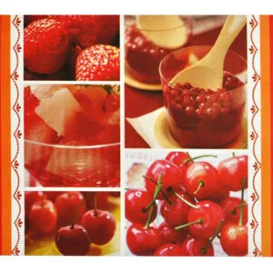 Plastové prostírání TORO 43x28cm ovoce MIX motivů Varianta: ZELENÁ