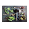 Plastové prostírání TORO 44x28cm lžíce - Image 2