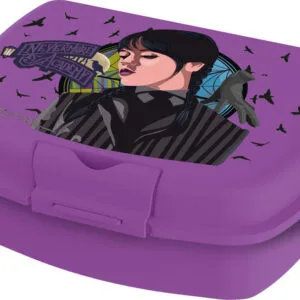 STOR Plastový svačinový box Wednesday 18x14x6