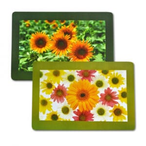 Plastové prostírání TORO 28x43cm květiny MIX motivů Varianta: SLUNEČNICE